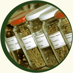 pharamacognositical,Herbal Drug Research